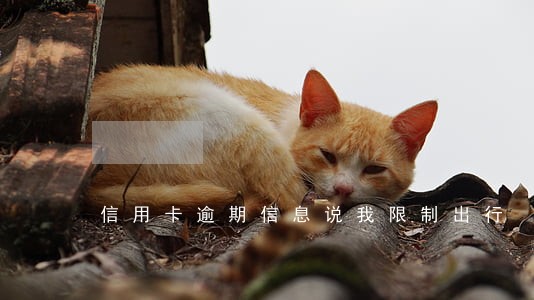 信用卡逾期信息说我限制出行