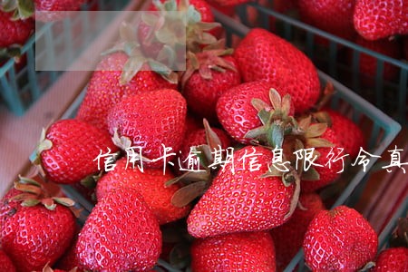 信用卡逾期信息限行令真的假的 信用卡逾期信息限行令真的假的