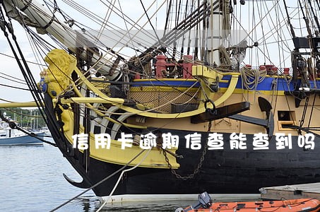 信用卡逾期信查能查到吗 信用卡逾期信查能查到吗