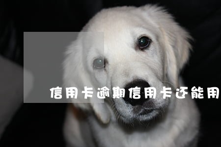 信用卡逾期信用卡还能用吗 信用卡逾期信用卡还能用吗