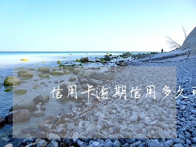 信用卡逾期信用多久可以恢复 信用卡逾期信用多久可以恢复