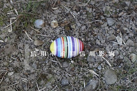 信用卡逾期信用影响