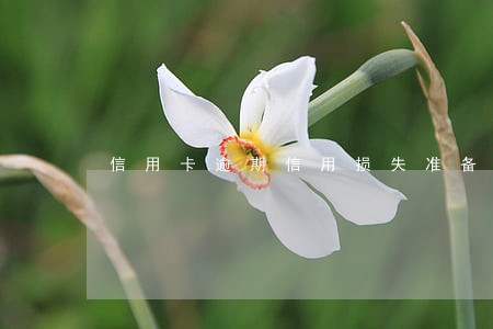 信用卡逾期信用损失准备充足率 信用卡逾期信用损失准备充足率