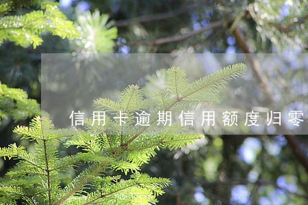 信用卡逾期信用额度归零怎么还