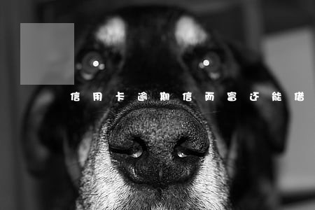 信用卡逾期信而富还能借吗 信用卡逾期信而富还能借吗
