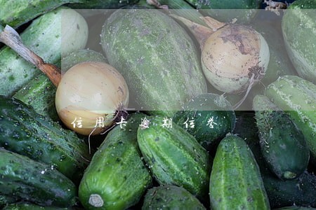 信用卡逾期信誉 信用卡逾期信誉