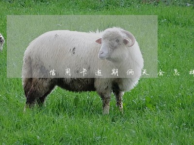 信用卡逾期俩天会怎样 信用卡逾期俩天会怎样