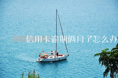 信用卡逾期俩月了怎么办