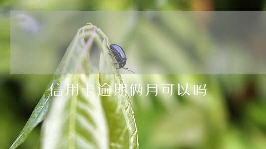 信用卡逾期俩月可以吗 信用卡逾期俩月可以吗