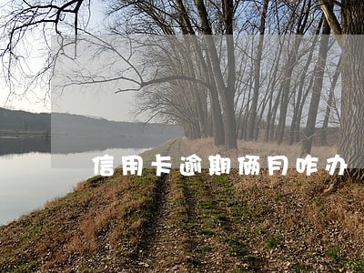 信用卡逾期俩月咋办