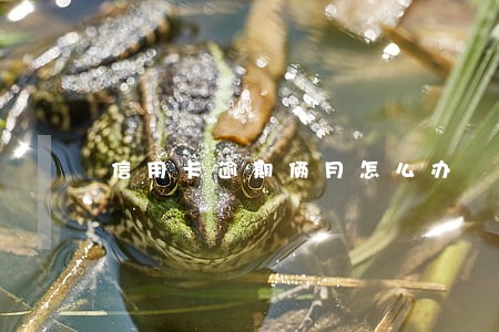 信用卡逾期俩月怎么办