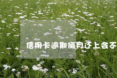 信用卡逾期俩月还上会不会降额