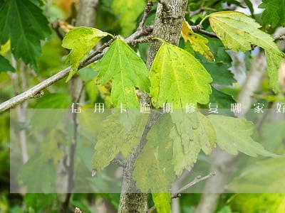 信用卡逾期修复哪家好 信用卡逾期修复哪家好