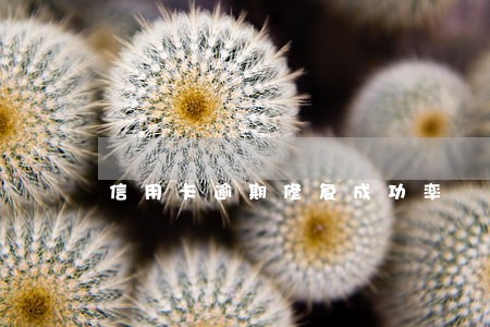 信用卡逾期修复成功率 信用卡逾期修复成功率