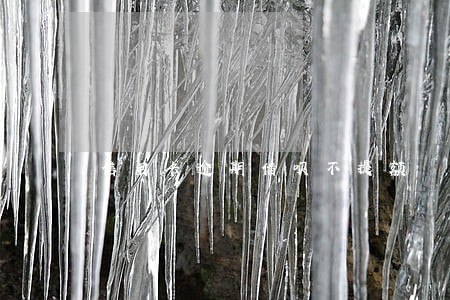信用卡逾期借呗不提额 信用卡逾期借呗不提额
