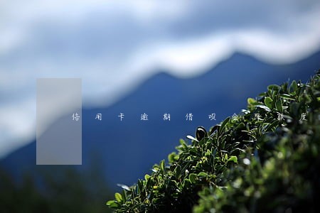 信用卡逾期借呗会降额度
