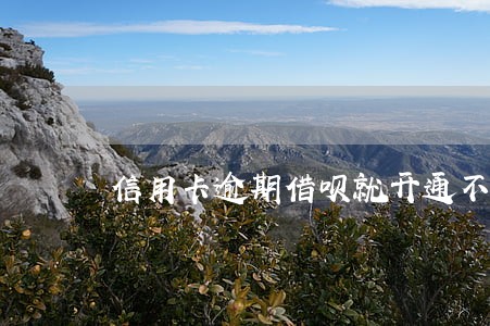 信用卡逾期借呗就开通不了么 信用卡逾期借呗就开通不了么