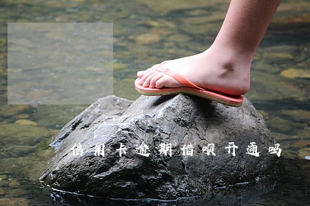 信用卡逾期借呗开通吗 信用卡逾期借呗开通吗