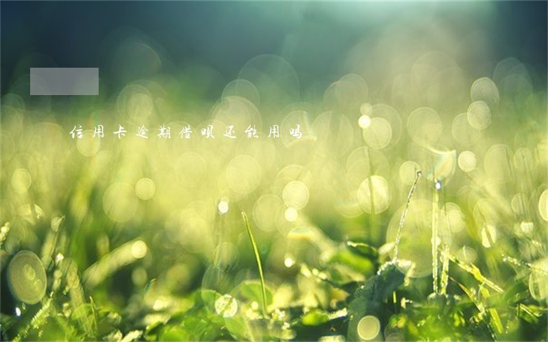 信用卡逾期借呗还能用吗 信用卡逾期借呗还能用吗