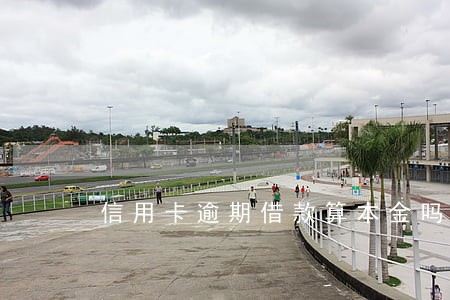 信用卡逾期借款算本金吗