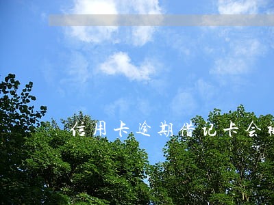 信用卡逾期借记卡会被全部冻结吗 信用卡逾期借记卡会被全部冻结吗