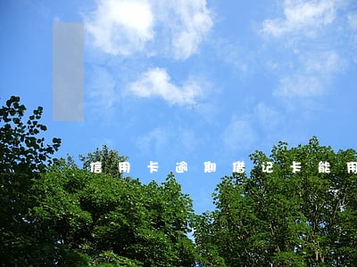 信用卡逾期借记卡能用吗 信用卡逾期借记卡能用吗