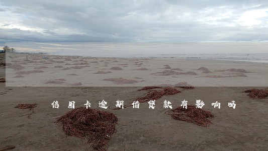 信用卡逾期借贷款有影响吗 信用卡逾期借贷款有影响吗