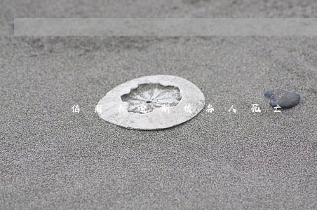 信用卡逾期债务人死亡 信用卡逾期债务人死亡