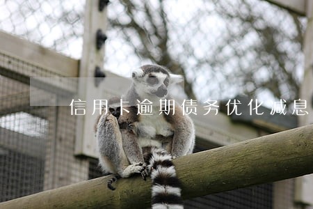 信用卡逾期债务优化减息上岸