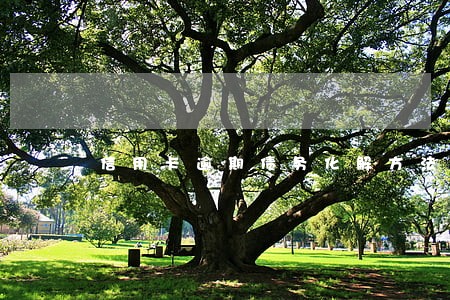 信用卡逾期债务化解方法 信用卡逾期债务化解方法