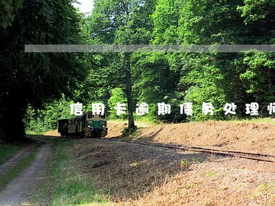 信用卡逾期债务处理师 信用卡逾期债务处理师