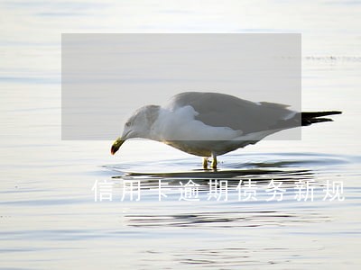 信用卡逾期债务新规 信用卡逾期债务新规