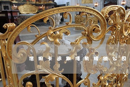 信用卡逾期债务核销公司