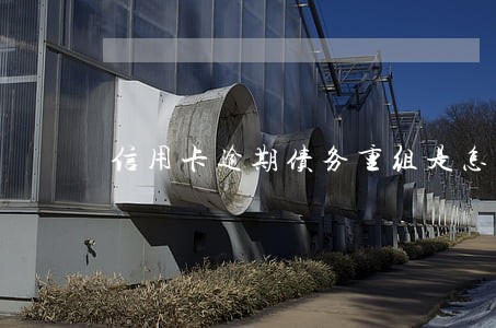信用卡逾期债务重组是怎么做的 信用卡逾期债务重组是怎么做的