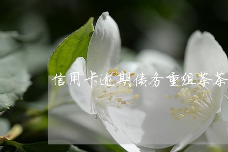 信用卡逾期债务重组茶茶 信用卡逾期债务重组茶茶