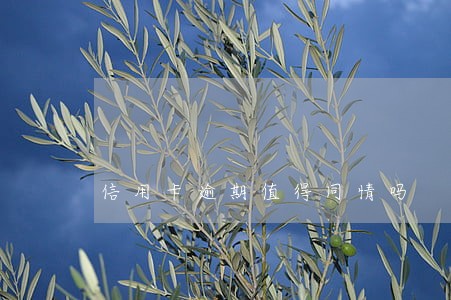 信用卡逾期值得同情吗 信用卡逾期值得同情吗
