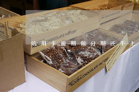 信用卡逾期做分期还不上怎么办 信用卡逾期做分期还不上怎么办