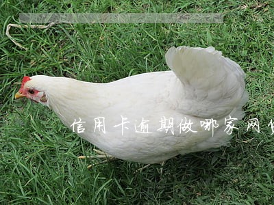 信用卡逾期做哪家网贷 信用卡逾期做哪家网贷