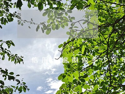 信用卡逾期做多少年牢 信用卡逾期做多少年牢
