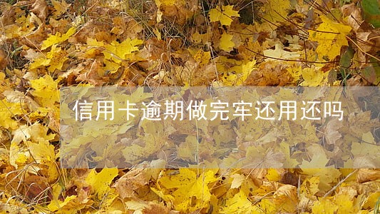 信用卡逾期做完牢还用还吗 信用卡逾期做完牢还用还吗