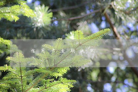 信用卡逾期做牢 信用卡逾期做牢