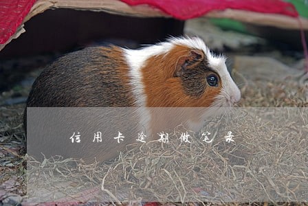 信用卡逾期做笔录 信用卡逾期做笔录