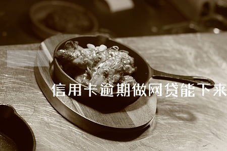 信用卡逾期做网贷能下来吗 信用卡逾期做网贷能下来吗