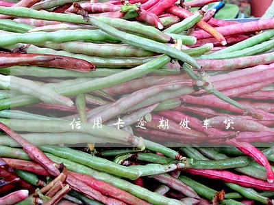 信用卡逾期做车贷 信用卡逾期做车贷