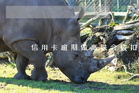 信用卡逾期做高铁会被扣吗 信用卡逾期做高铁会被扣吗