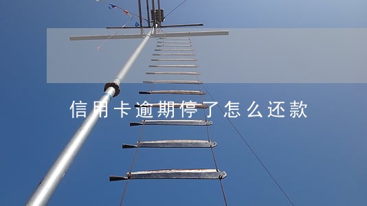 信用卡逾期停了怎么还款 信用卡逾期停了怎么还款
