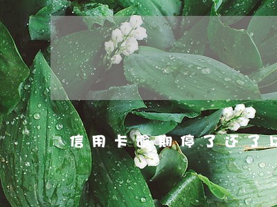 信用卡逾期停了还了以后还能用吗