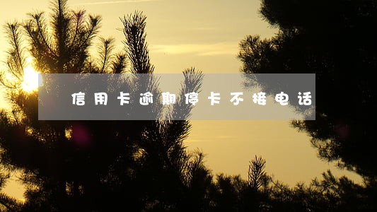 信用卡逾期停卡不接电话 信用卡逾期停卡不接电话