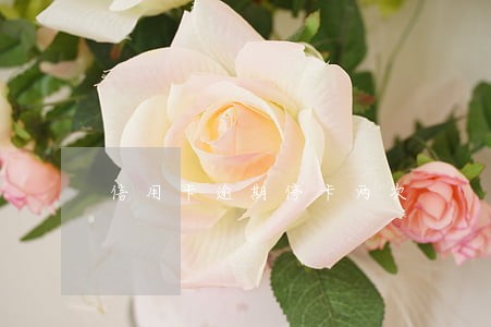 信用卡逾期停卡两次 信用卡逾期停卡两次