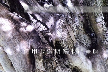 信用卡逾期停卡严重吗 信用卡逾期停卡严重吗